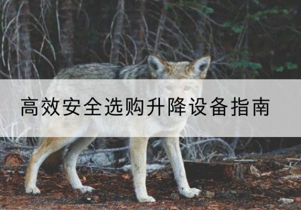 陈巴尔虎旗升降货梯厂家推荐-*安全选购升降设备指南