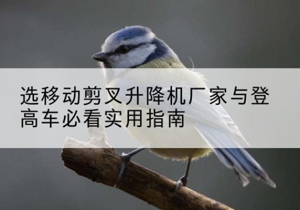 陈巴尔虎旗电动升降机厂家-选移动剪叉升降机厂家与登高车必看实用指南