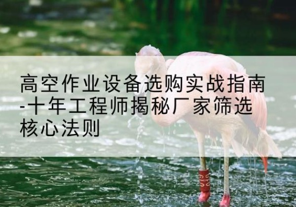 陈巴尔虎旗剪叉式升降机厂家-高空作业设备选购实战指南-十年工程师揭秘厂家筛选核心法则